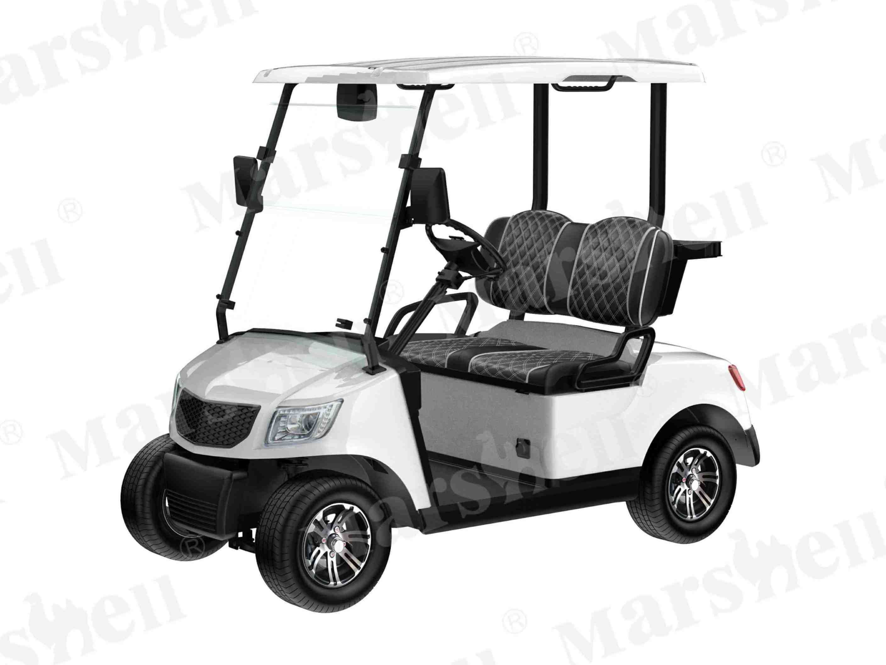 兩座電動高爾夫球車